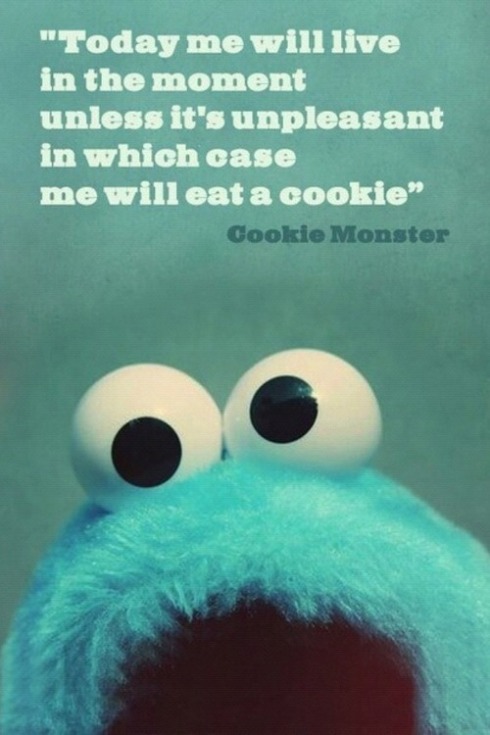 cookie-monster-quote.jpg?w=490